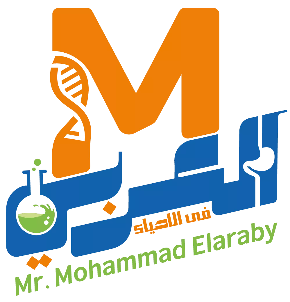 Mr. Mohamed Elaraby Logo